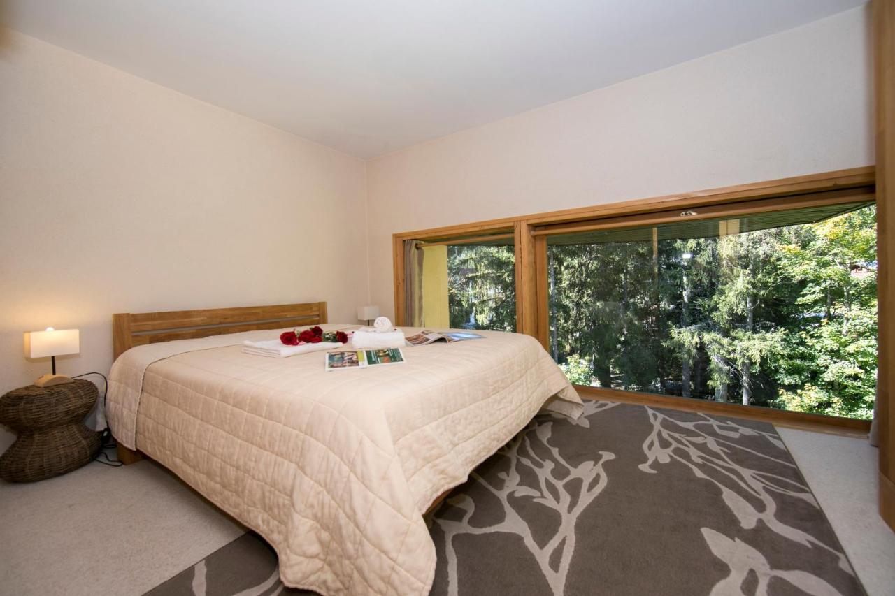 Residence Grand Roc - Ancolies 104 - Happy Rentals Chamonix Zewnętrze zdjęcie